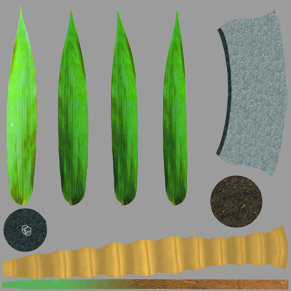 绿色尖叶子植物盆栽3d模型