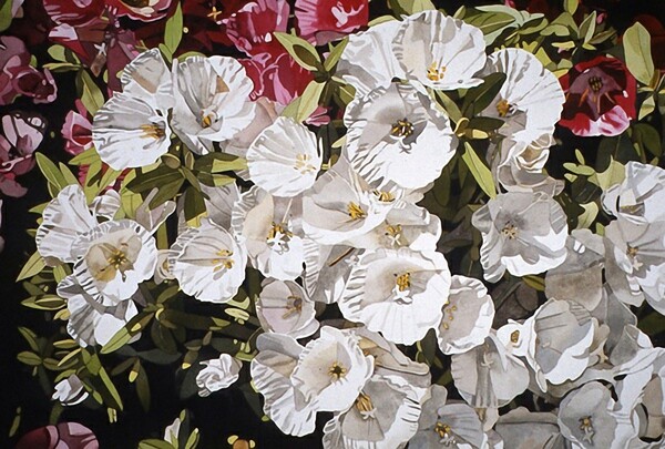 位图写意花卉植物花朵免费素材