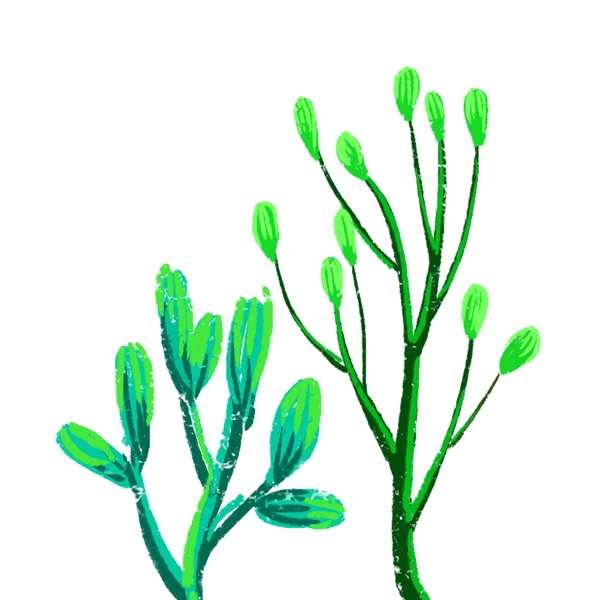 两个绿色植物装饰