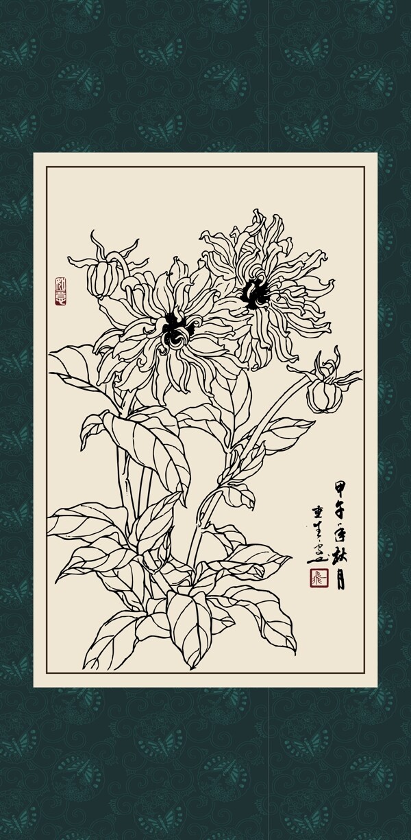 白描大丽花