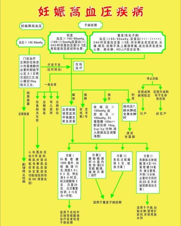 妊娠高血压疾病流程图片