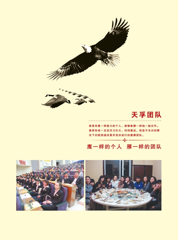 公司画册图片