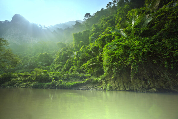 热带雨林小河风景