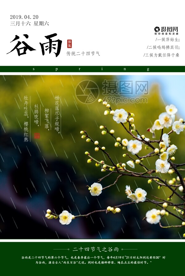 中国风古典传统24节气谷雨海报
