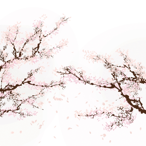 粉色的春季樱花插画