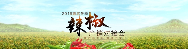 辣椒banner