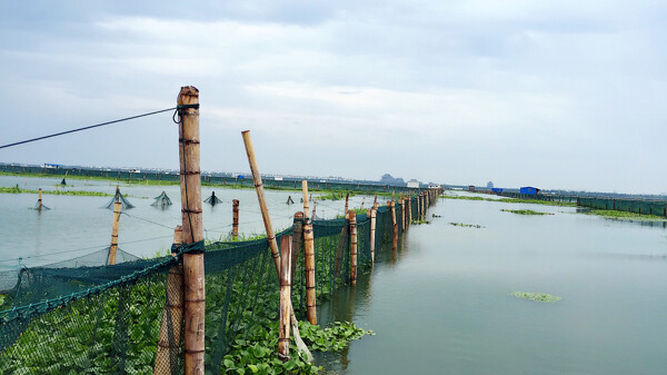 阳澄湖