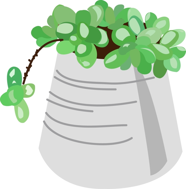 绿色吊兰植物插画