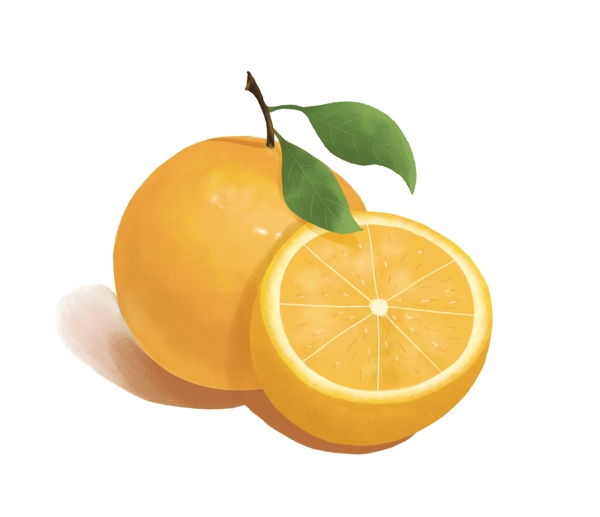 橙子插画