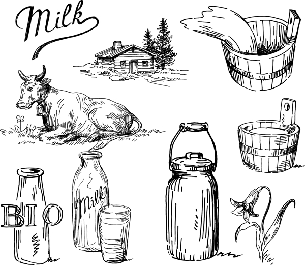 牛奶线条图图片