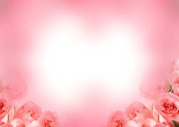 粉色玫瑰背景PSD素材