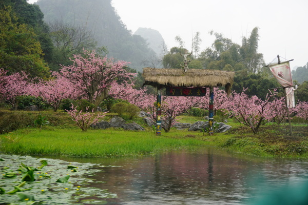 桃花源