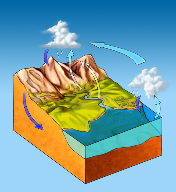 水循环示意图图片