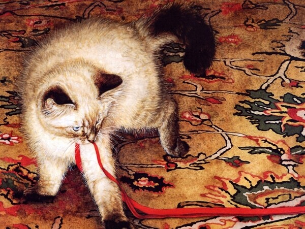 猫咪宠物手绘画56猫
