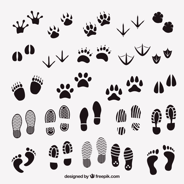 动物和人类的脚印