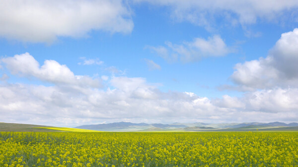 蓝天白云下的蒙古大草原