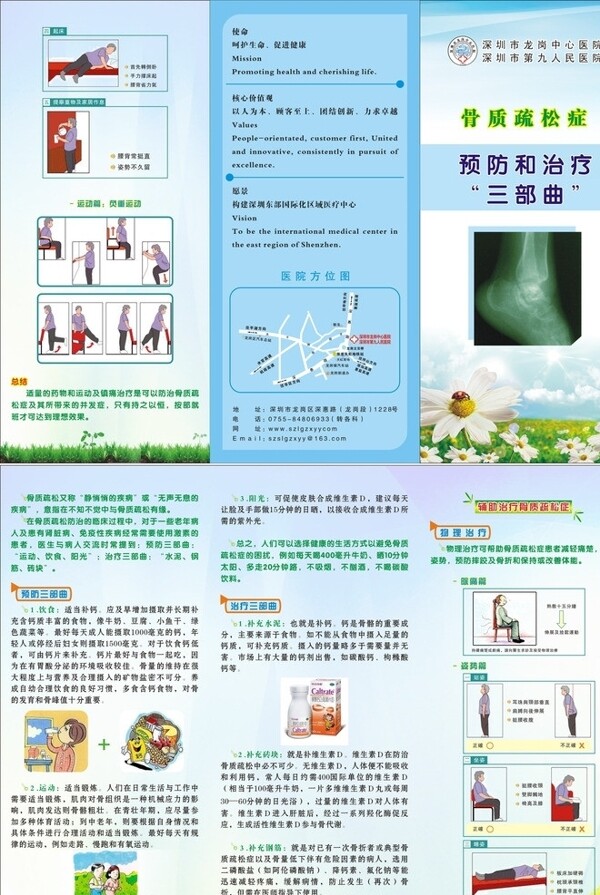 骨质疏松预防和治疗三折页图片