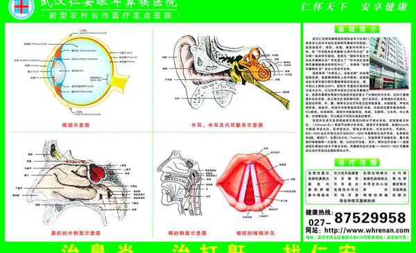 仁安图片