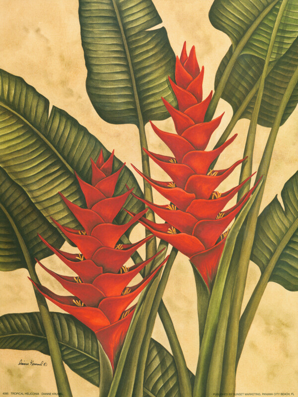 热带植物绘画装饰