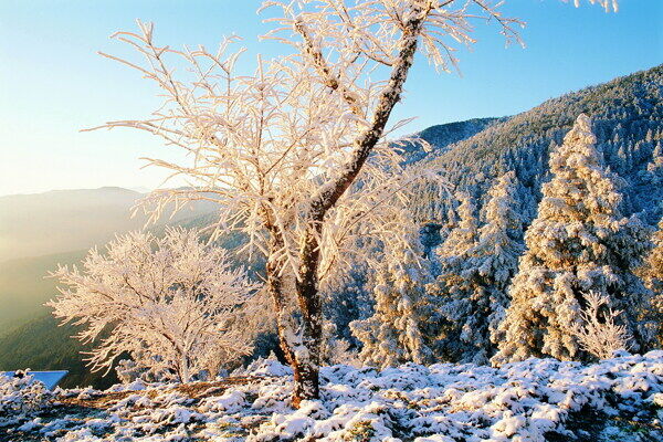 冬天雪景雪景大雪