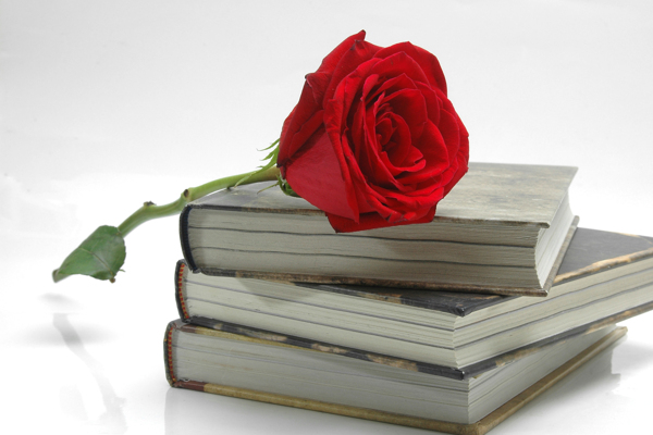 书本与红色玫瑰图片