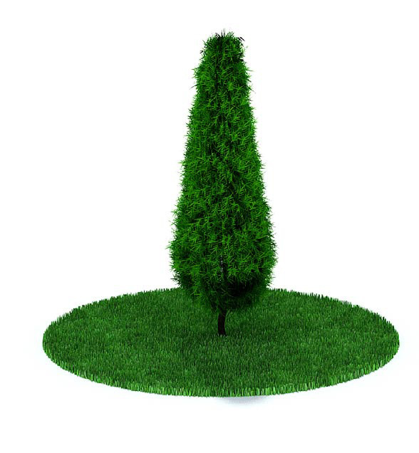 室外绿色雨针树3d模型