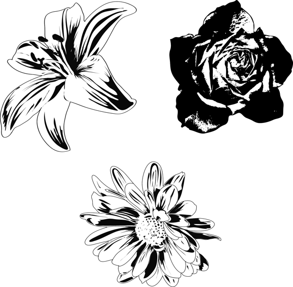 黑色和白色的花朵矢量素材