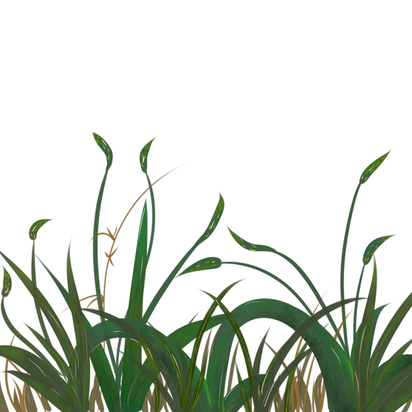 植物绿色的手绘小草