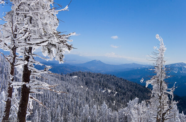 雪景