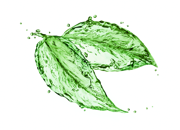 创意水纹绿叶