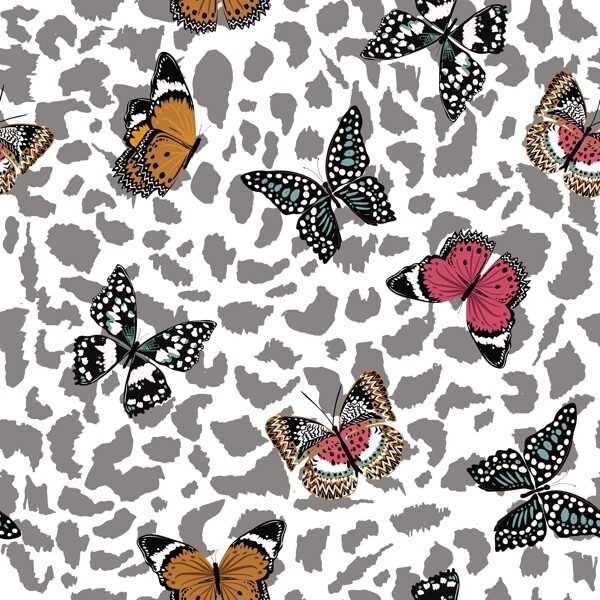 蝴蝶昆虫T恤图案排版设计图片