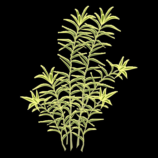 plant01