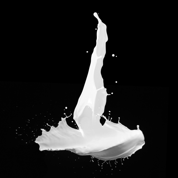 牛奶奶花素材图片