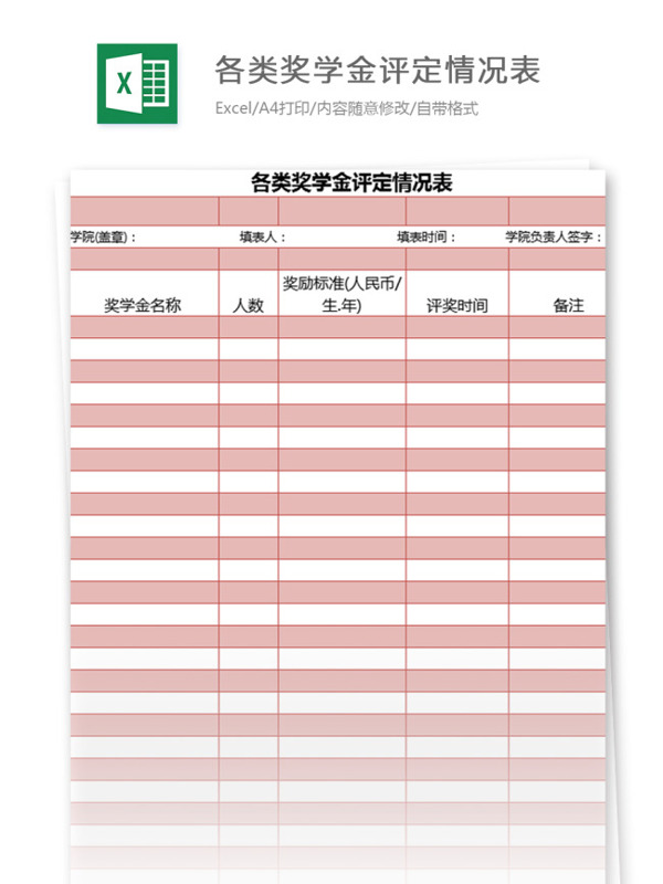 各类奖学金评定情况表excel模板