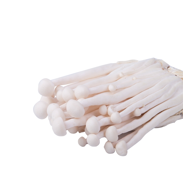 白色创意圆弧蘑菇食物元素