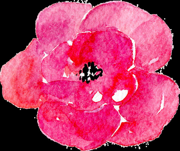玫红花朵图片素材