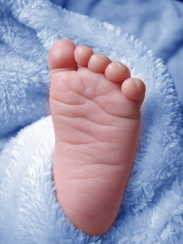 宝宝小脚图片婴儿的小脚高清图片下载