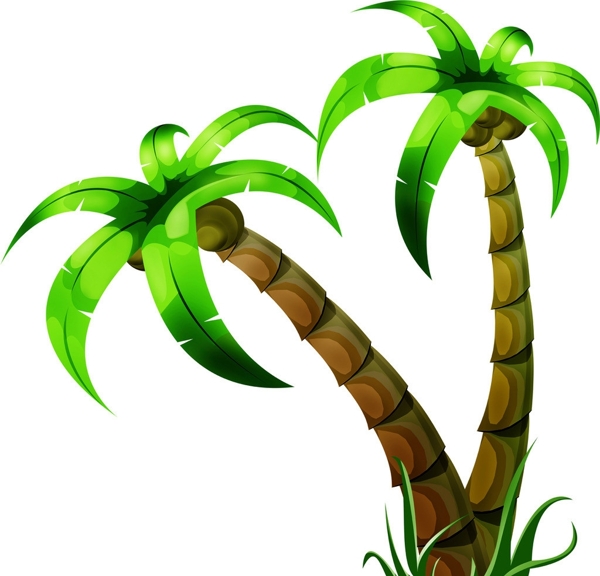 椰树椰子树图片