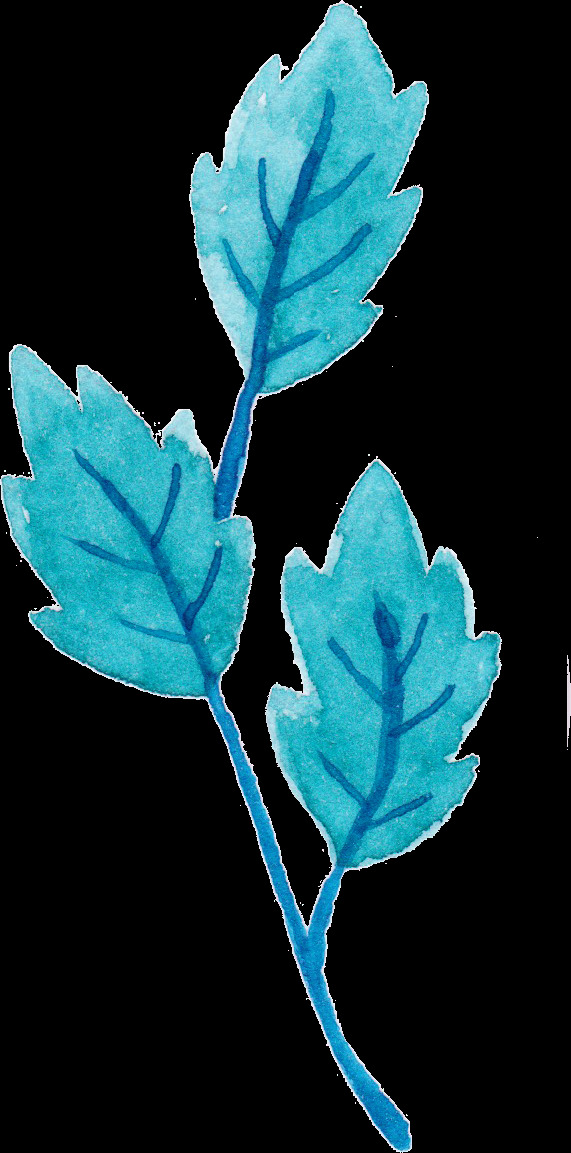 水彩蓝色树叶免扣素材合集