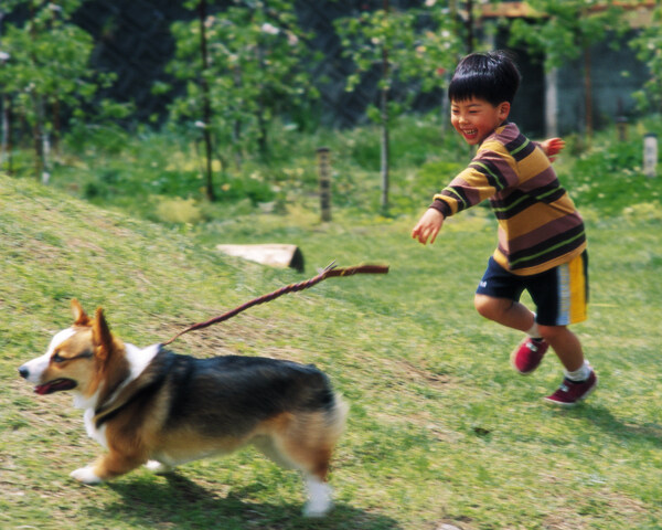 男孩与狗狗图片