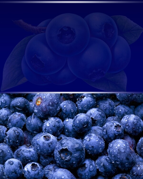 蓝莓PSD分层素材图片