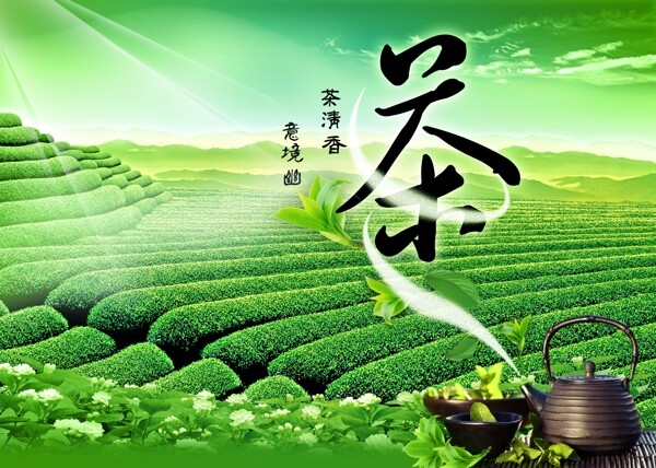 茉莉花清茶图片