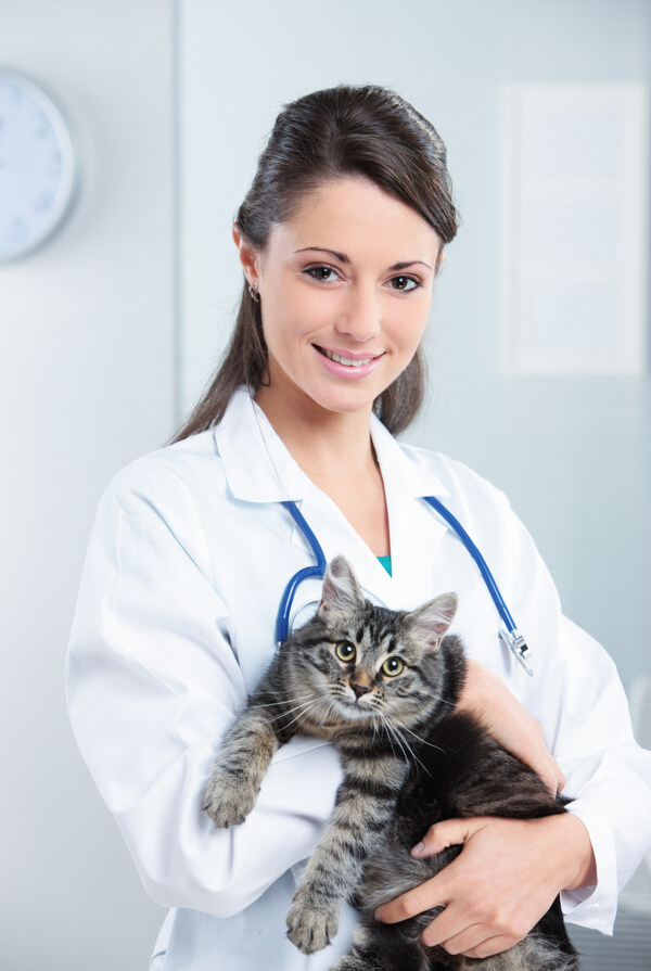 抱着小猫的女医生图片