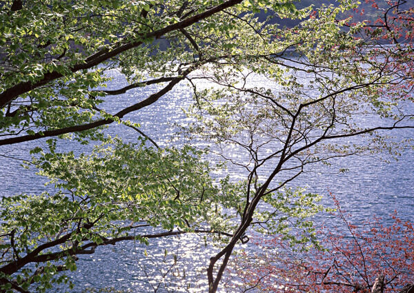 山水风景