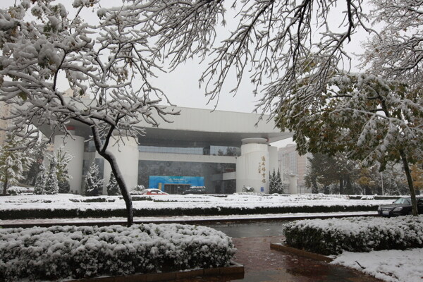 北京语言大学雪景体育馆图片