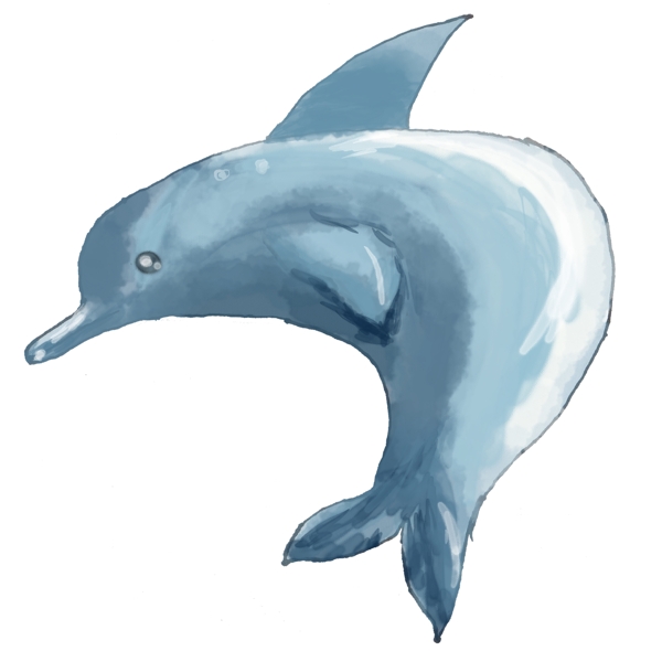 世界海洋日蓝色海豚png