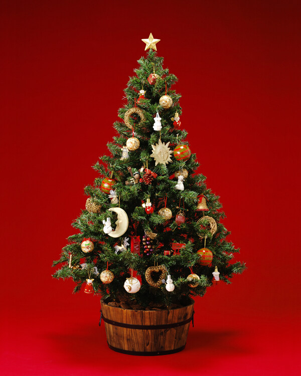 精美圣诞树素材图片