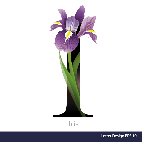 热带紫色花卉英文字母字体设计