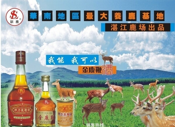 湛江鹿场金鹿鞭酒海报图片