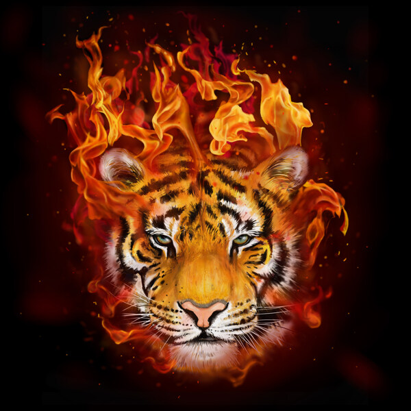 火焰与老虎